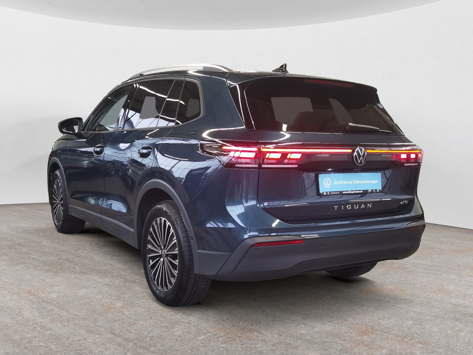 diagonalansicht-hinten-aussen