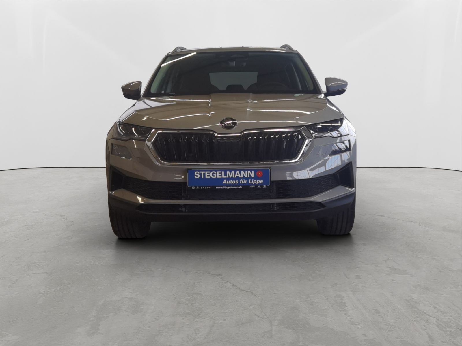 Škoda - Karoq_9
