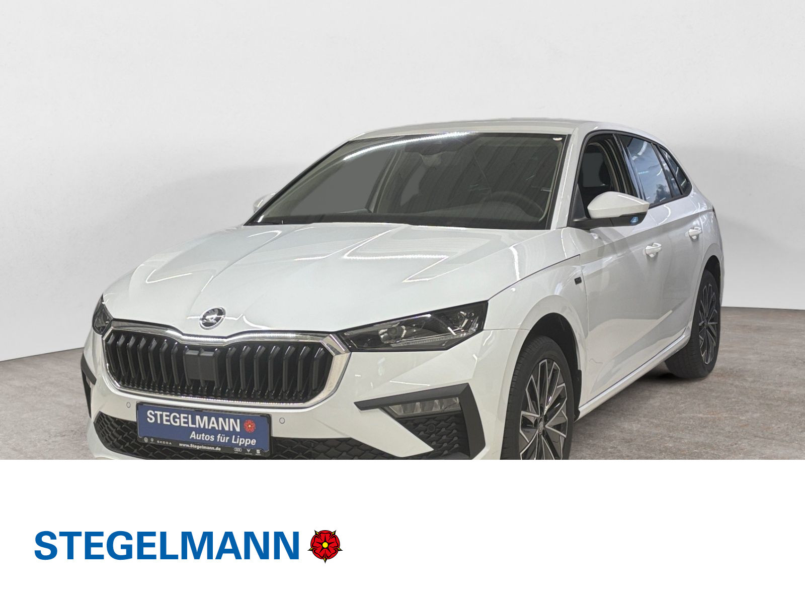 diagonal-frontansicht-aussen