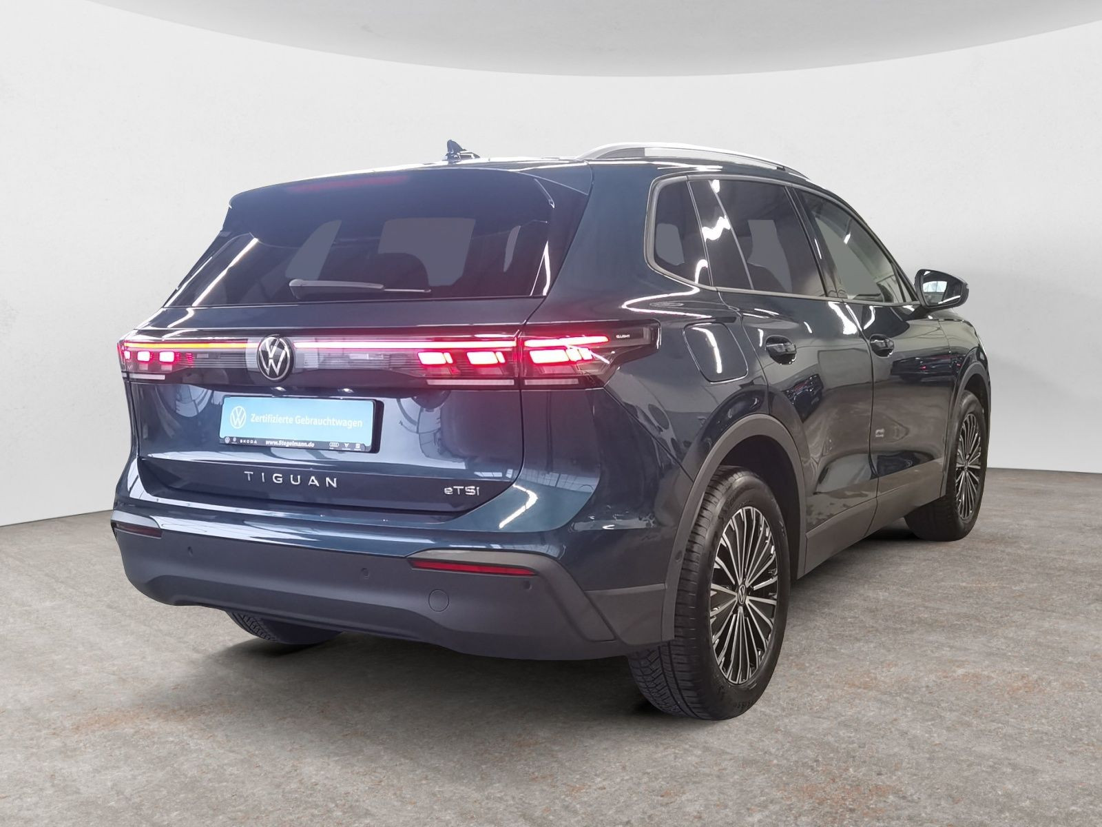 diagonalansicht-hinten-aussen