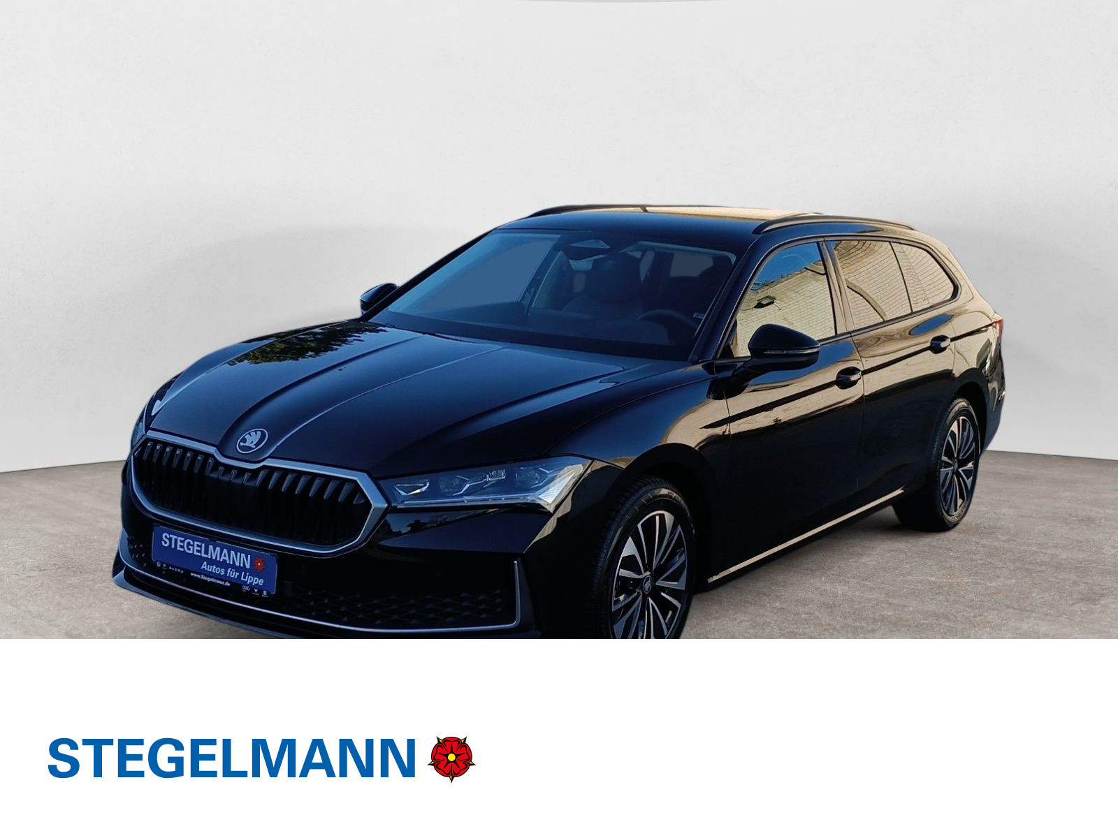 diagonal-frontansicht-aussen