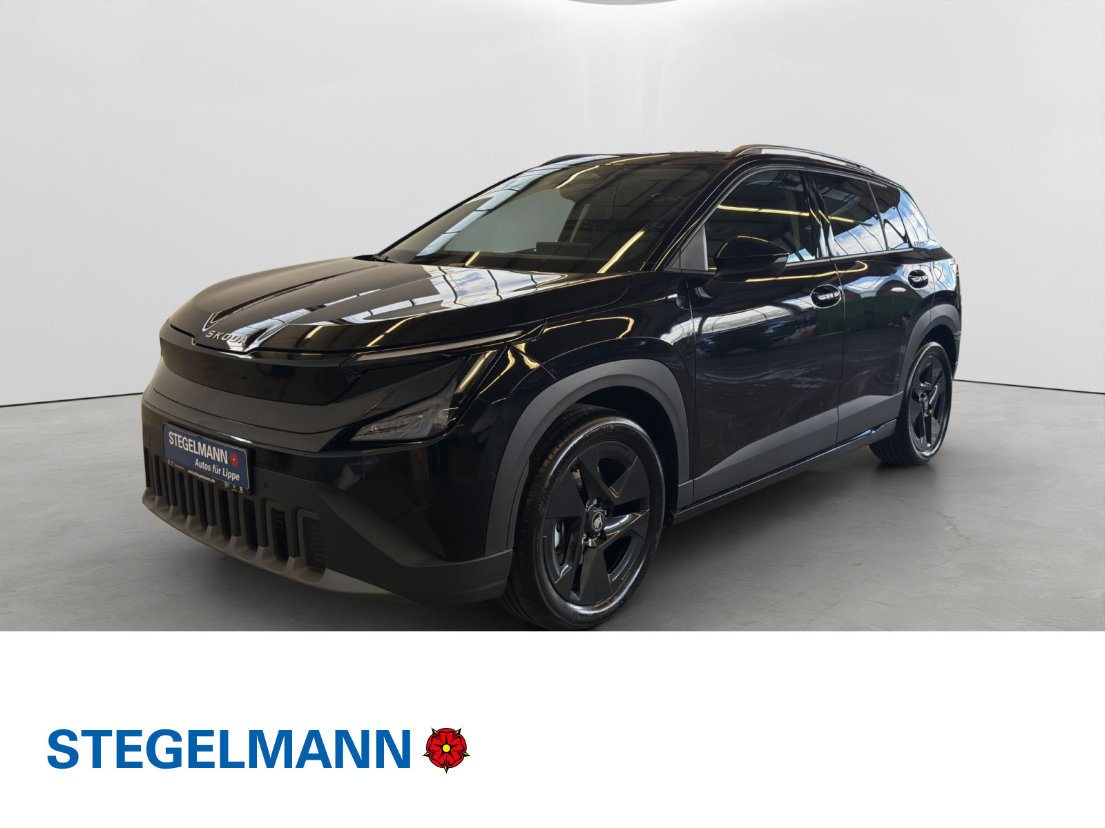 Fahrzeugbild_1