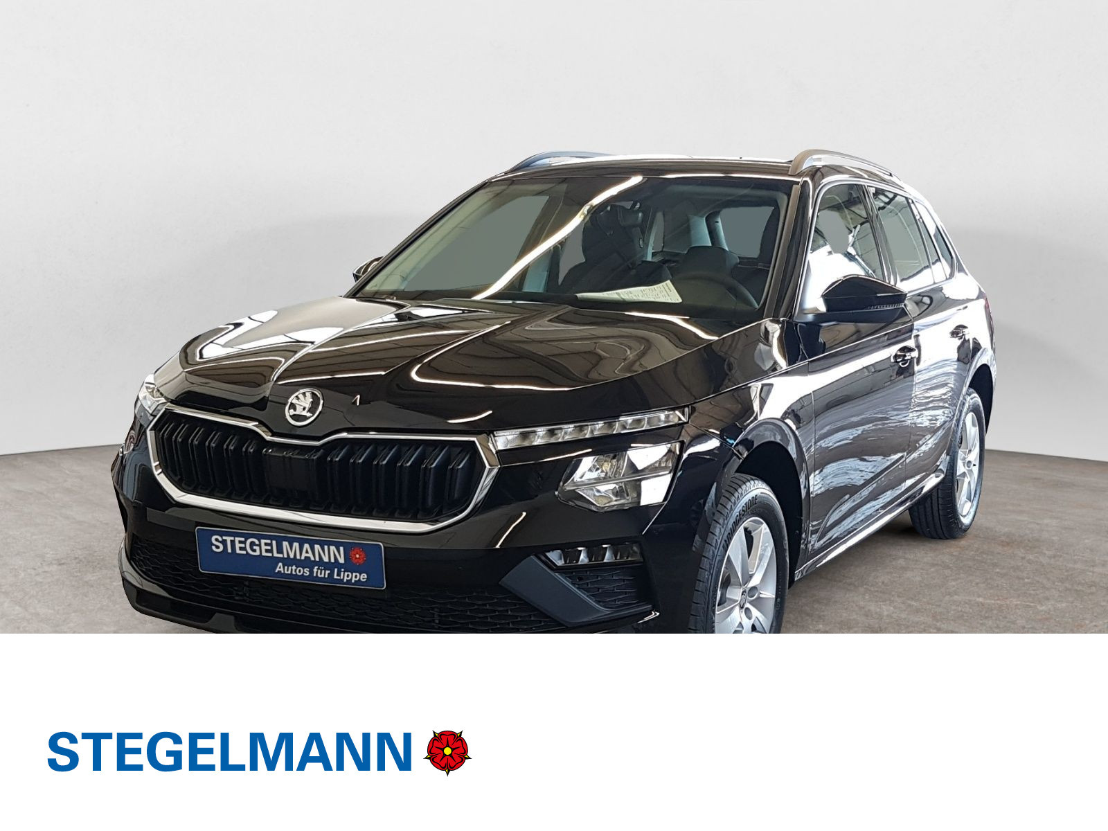 Škoda - Kamiq_1