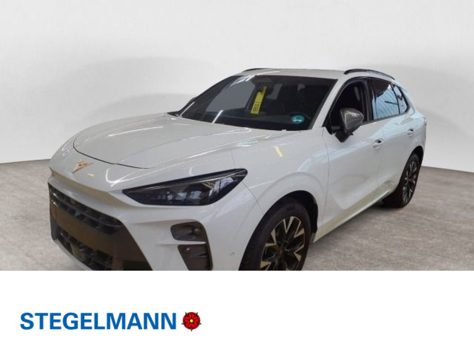 diagonal-frontansicht-aussen