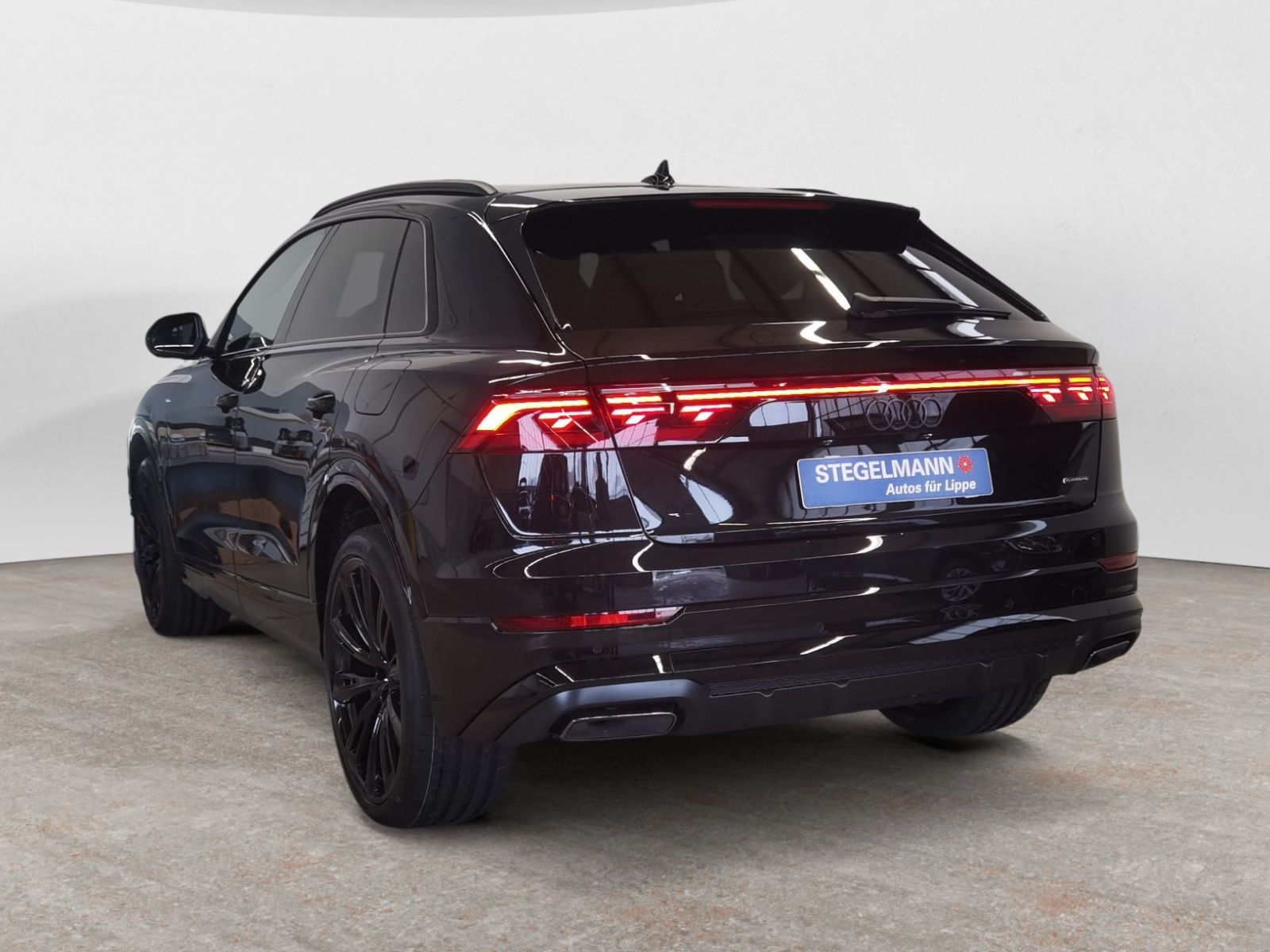 diagonalansicht-hinten-aussen