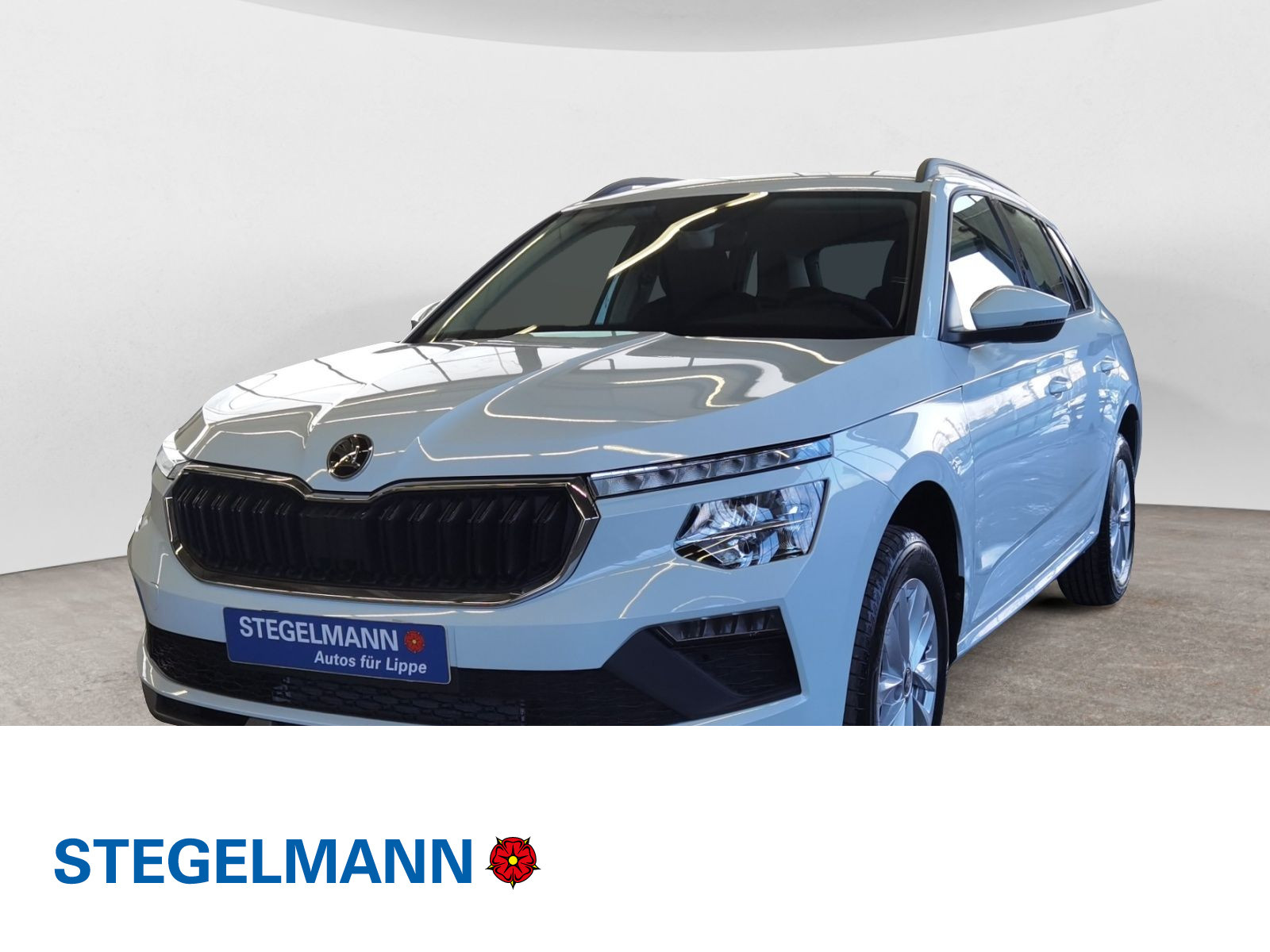 diagonal-frontansicht-aussen