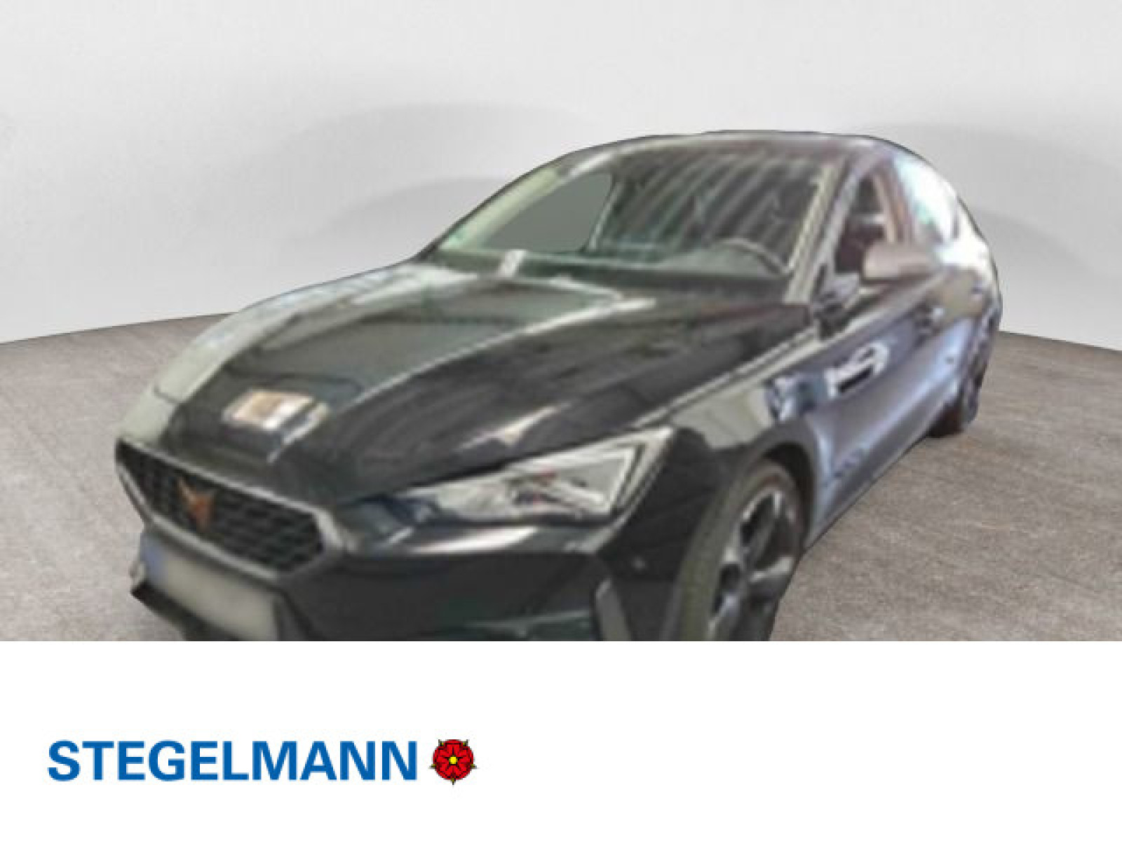 diagonal-frontansicht-aussen