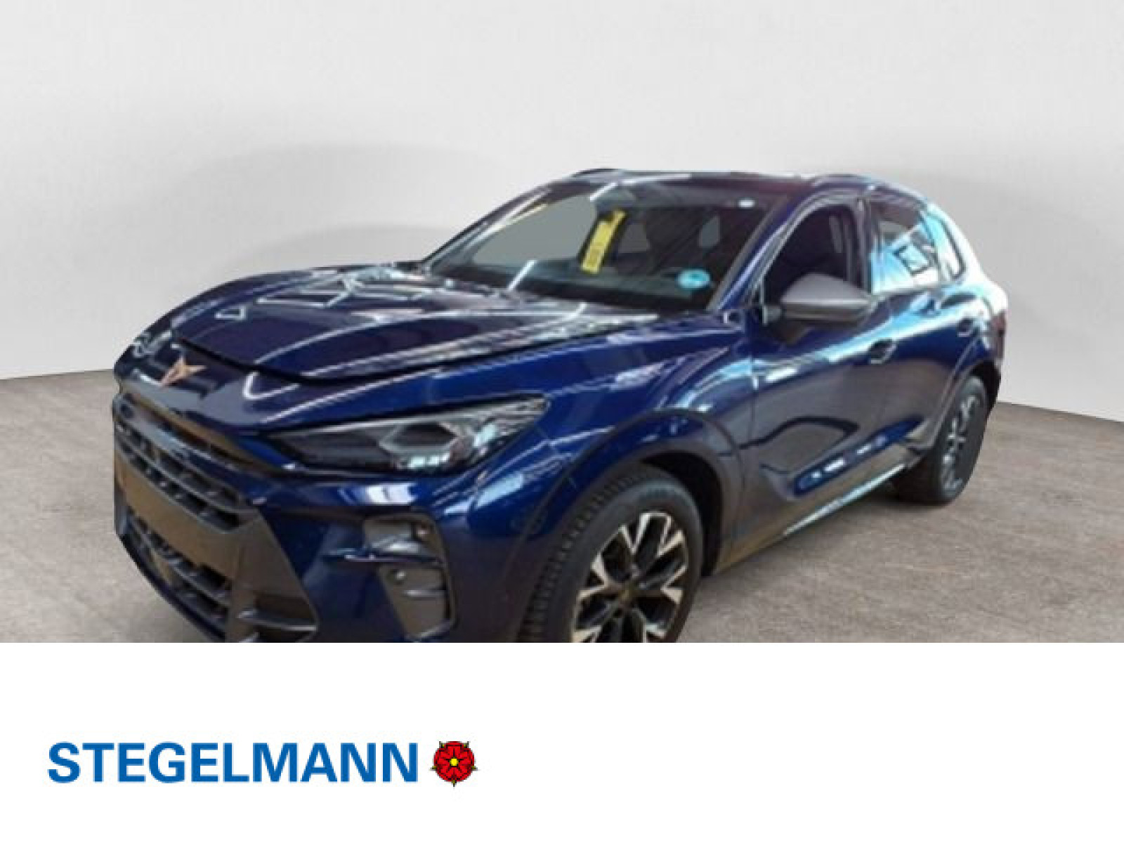 diagonal-frontansicht-aussen