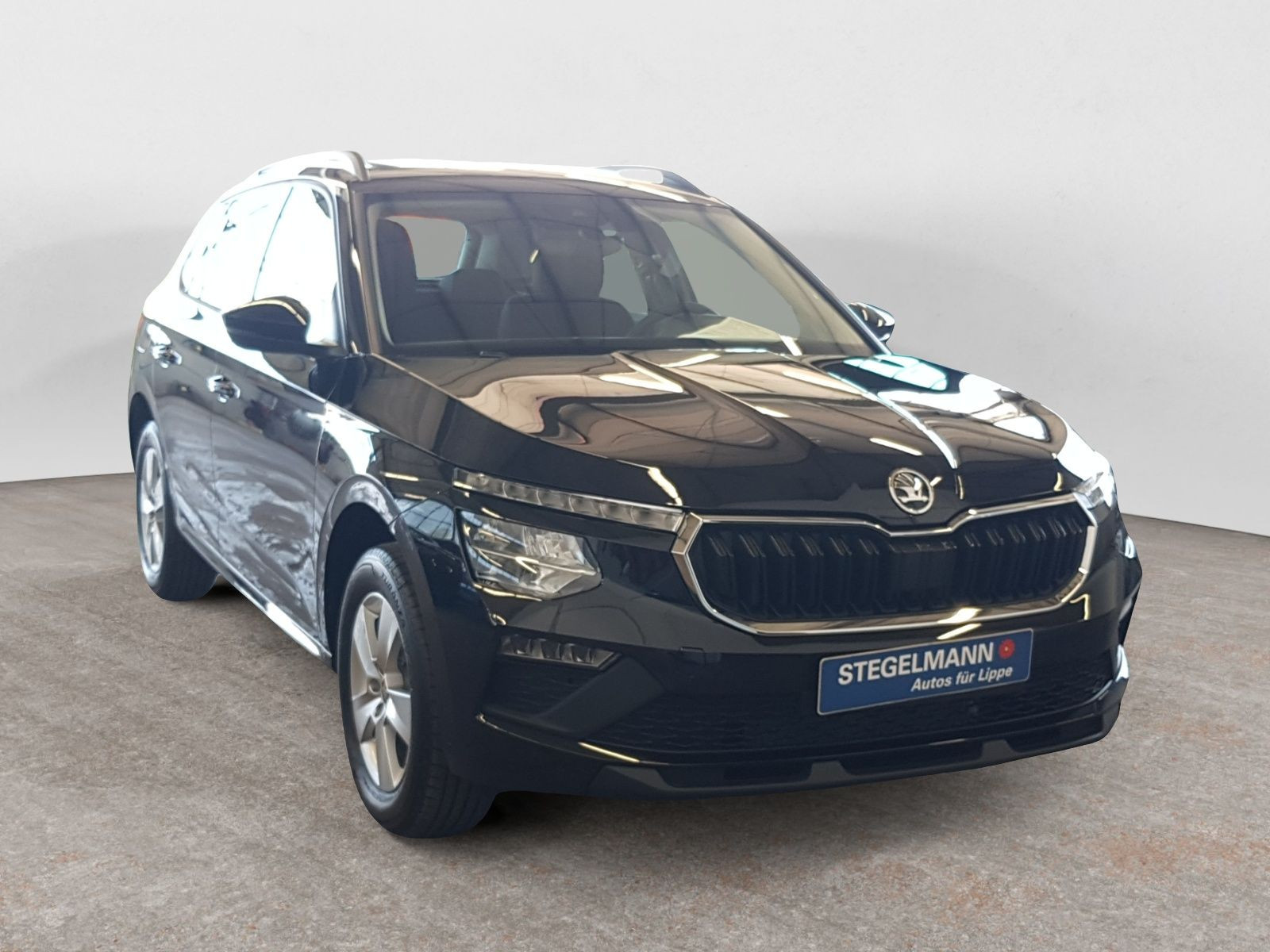 Škoda - Kamiq_8