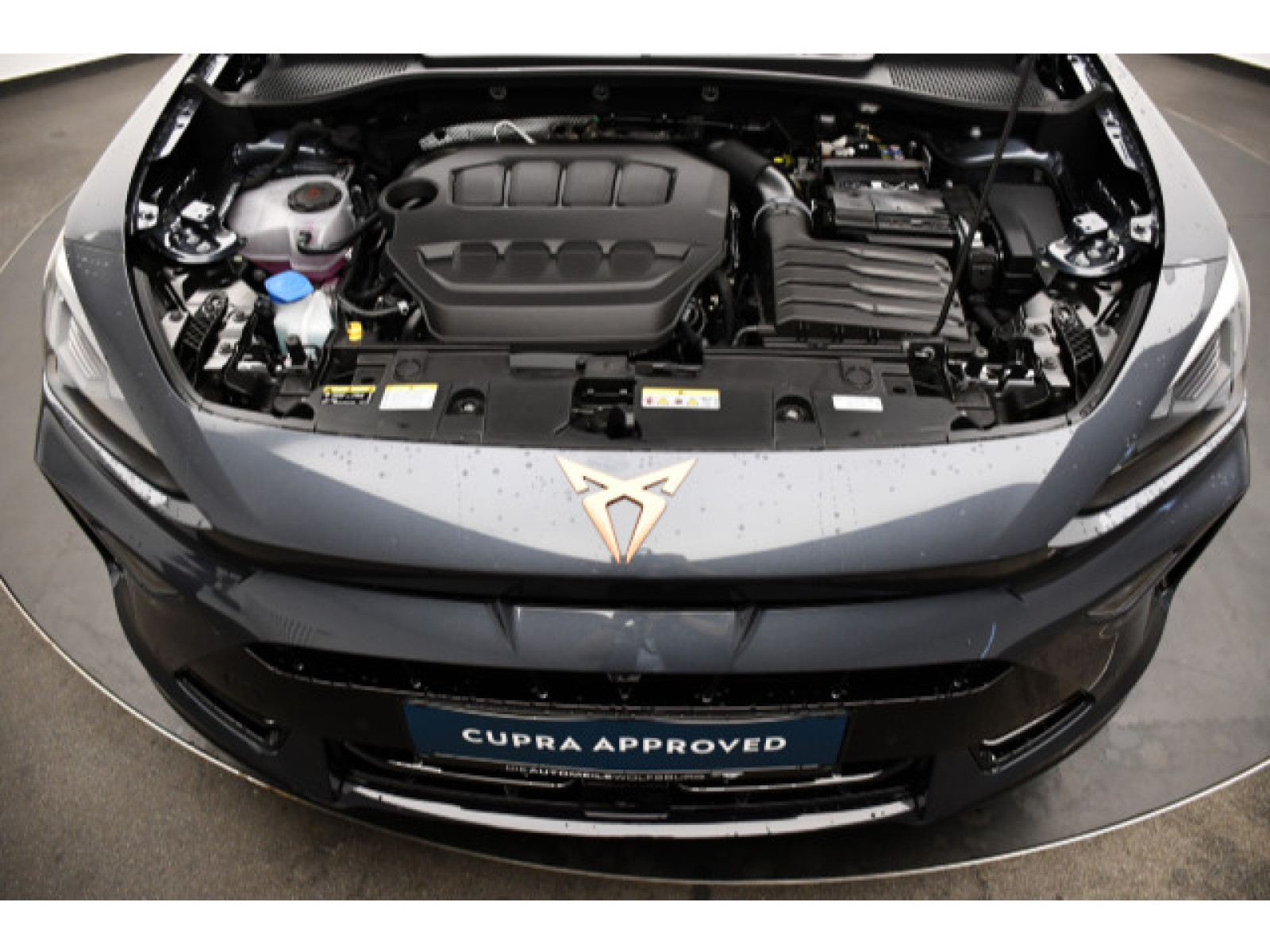 motor-aussen