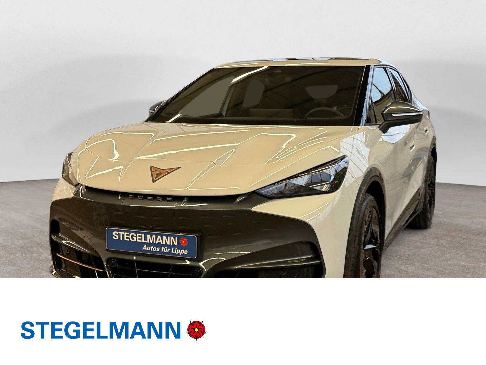 diagonal-frontansicht-aussen