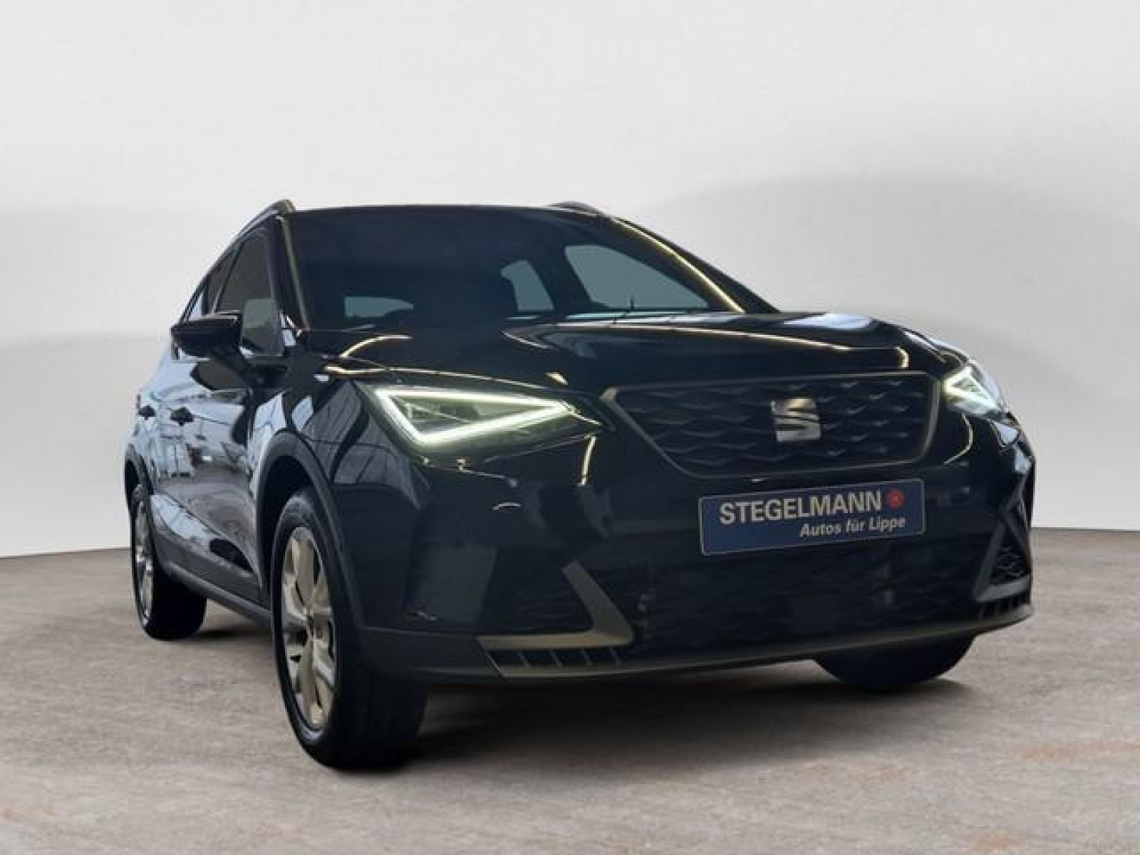 diagonal-frontansicht-aussen