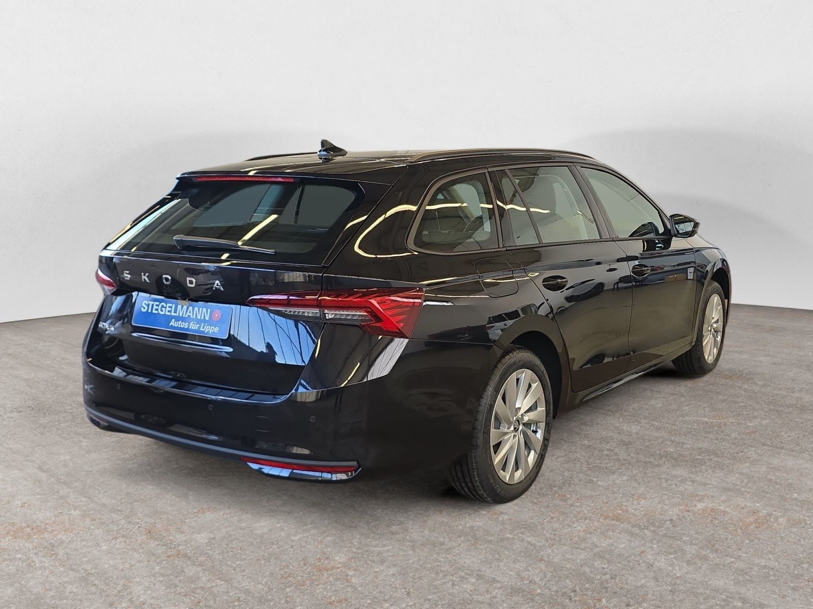 diagonalansicht-hinten-aussen