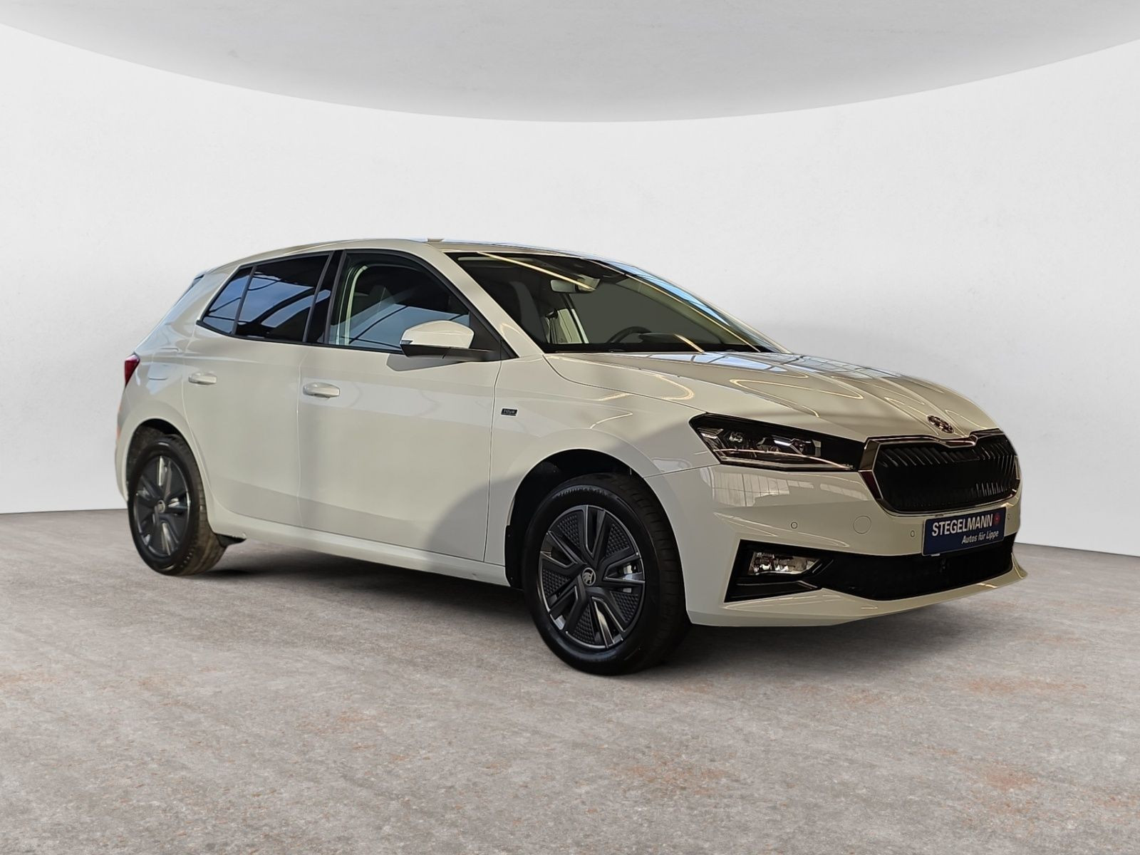 diagonal-frontansicht-aussen