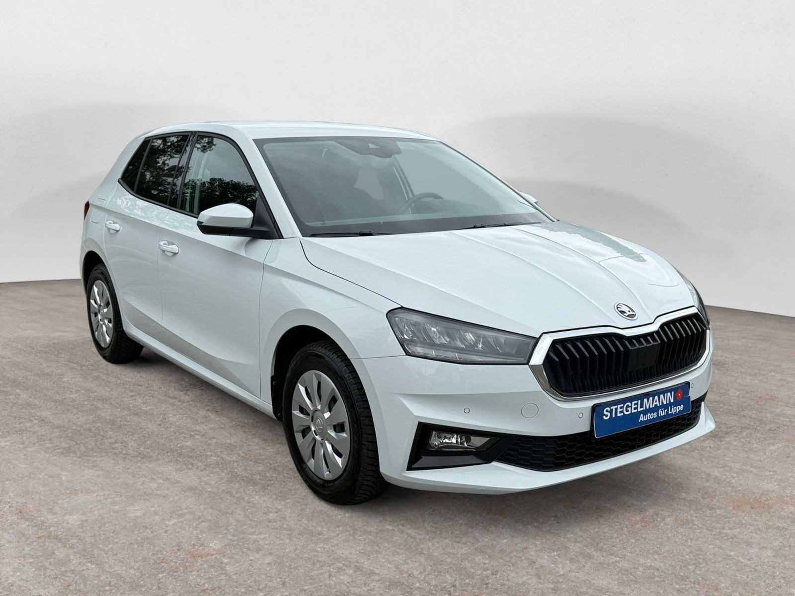Škoda - Fabia_8