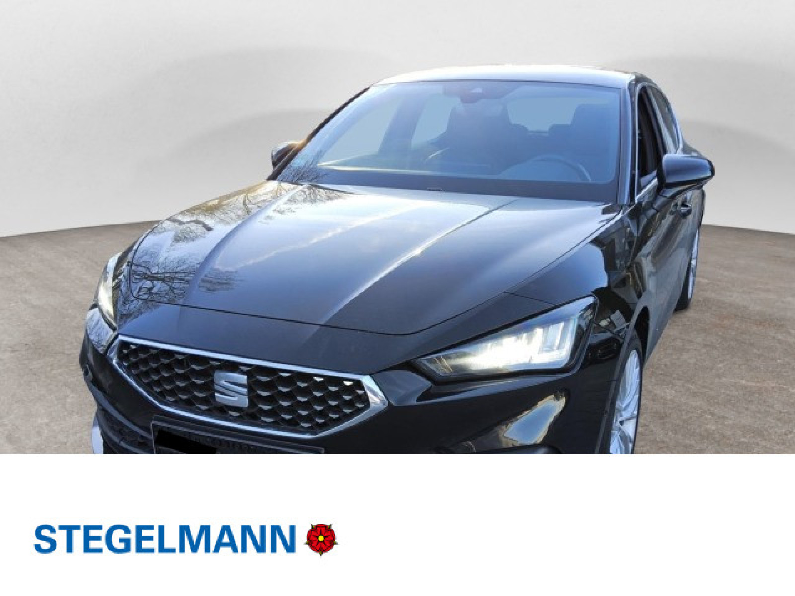 diagonal-frontansicht-aussen