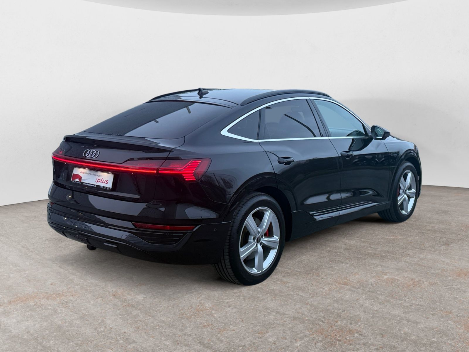 diagonalansicht-hinten-aussen