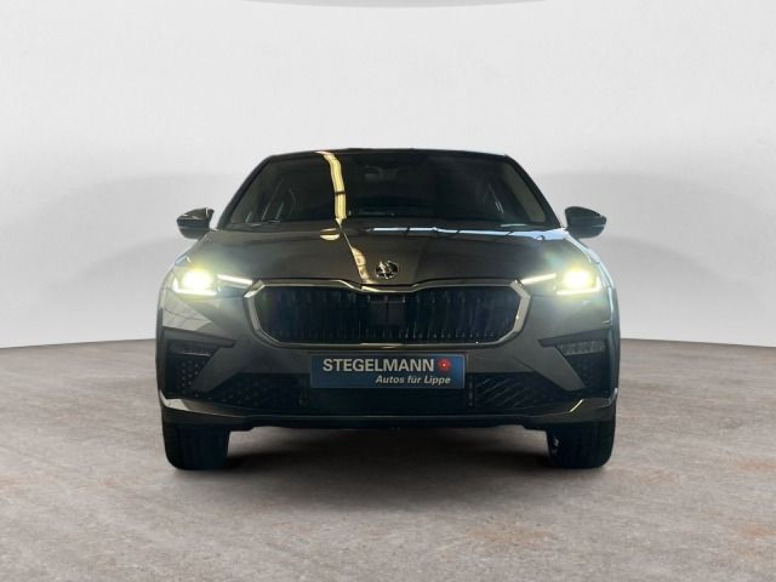 Škoda - Scala_9