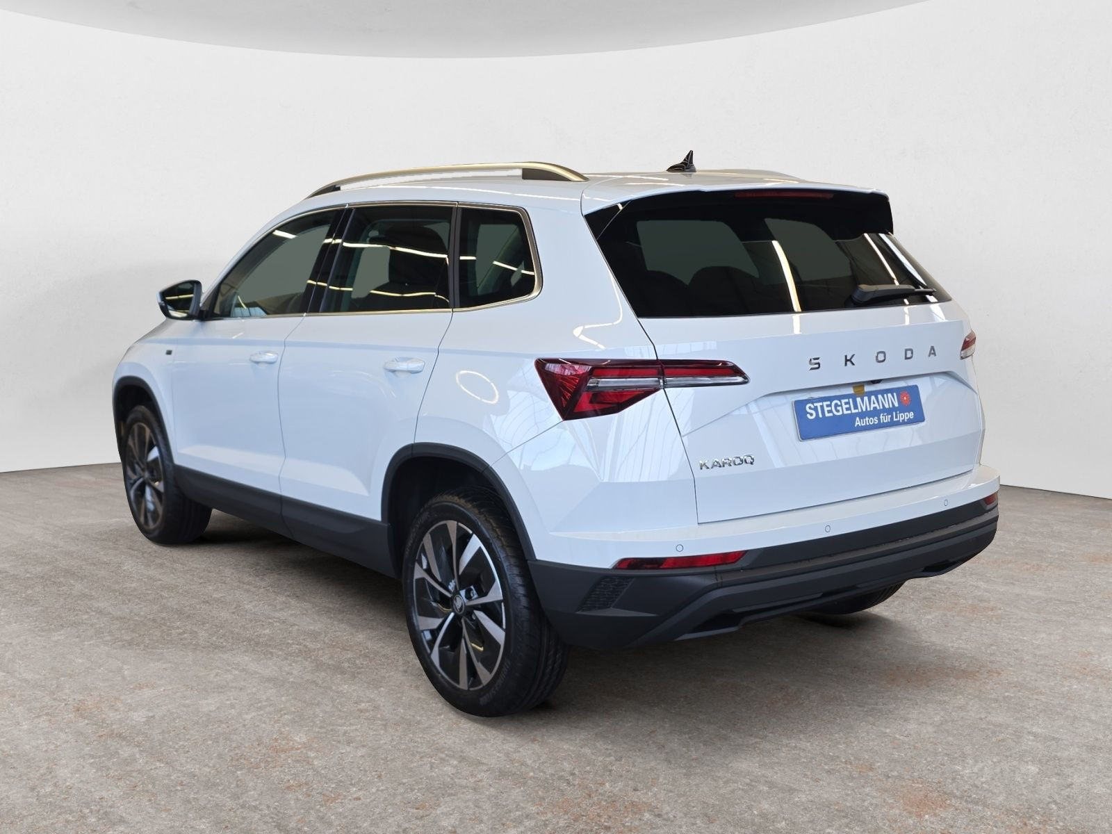 diagonalansicht-hinten-aussen