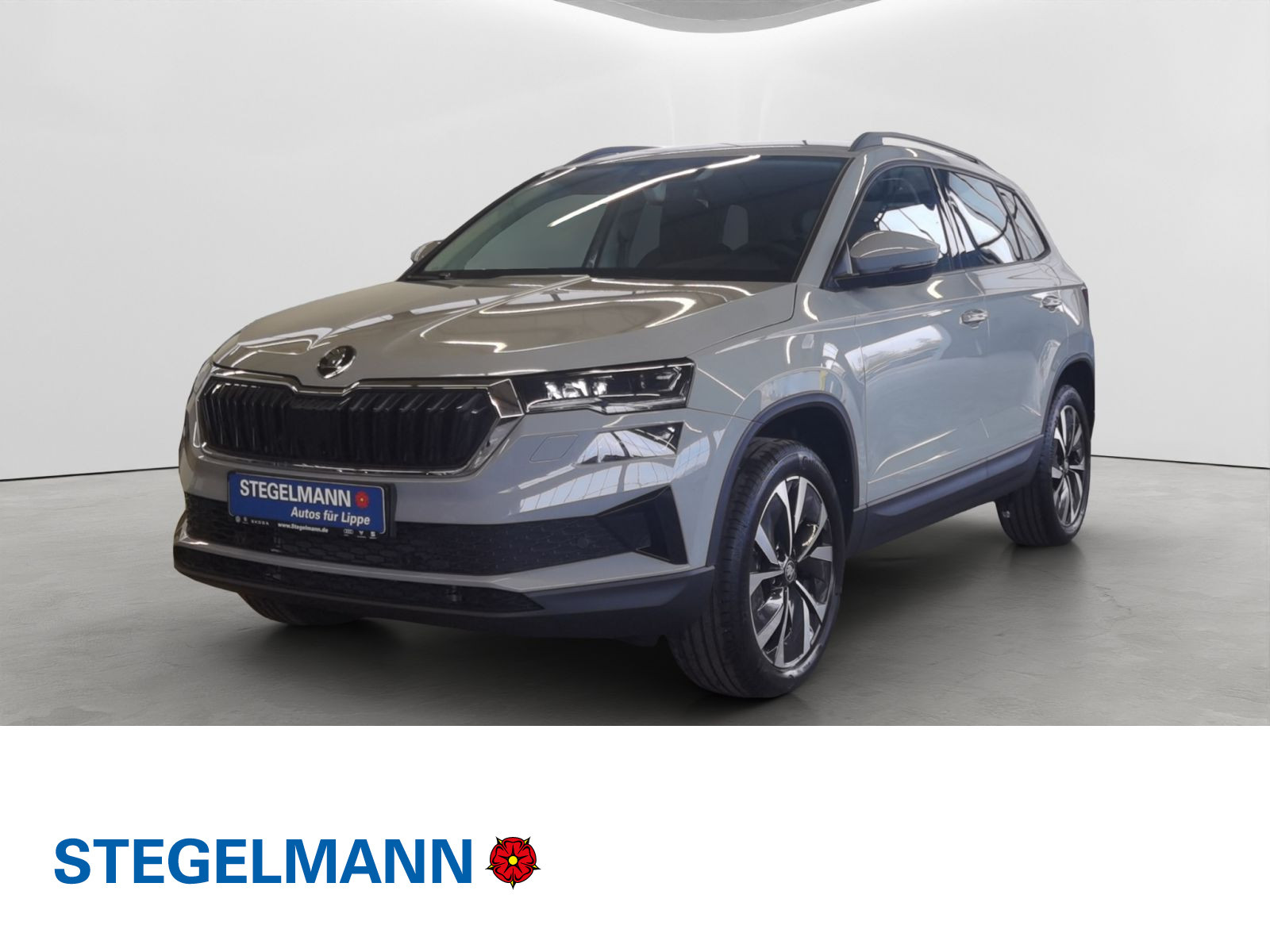 Škoda - Karoq_1